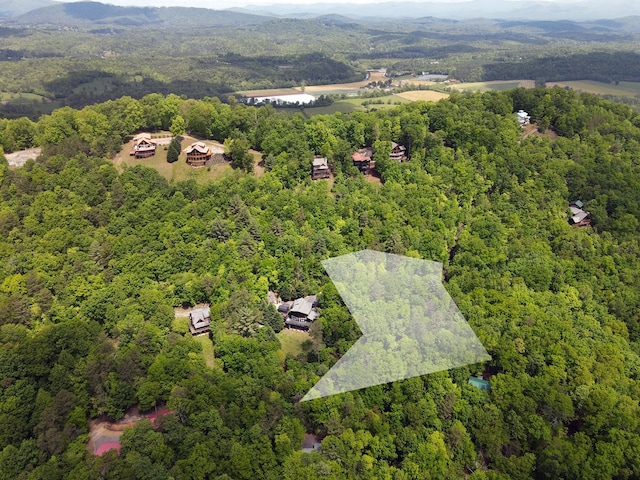 LOTF-1 Bruce Mountain Rd, Morganton, GA 30560