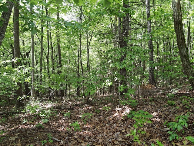 LOTF-1 Bruce Mountain Rd, Morganton, GA 30560