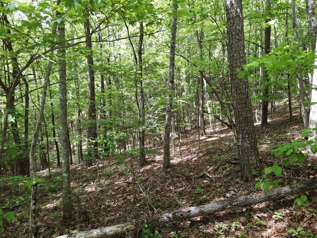LOTF-1 Bruce Mountain Rd, Morganton, GA 30560