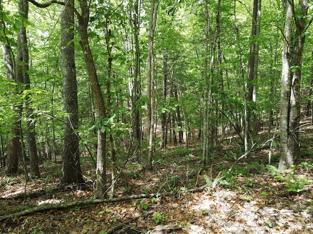 LOTF-1 Bruce Mountain Rd, Morganton, GA 30560