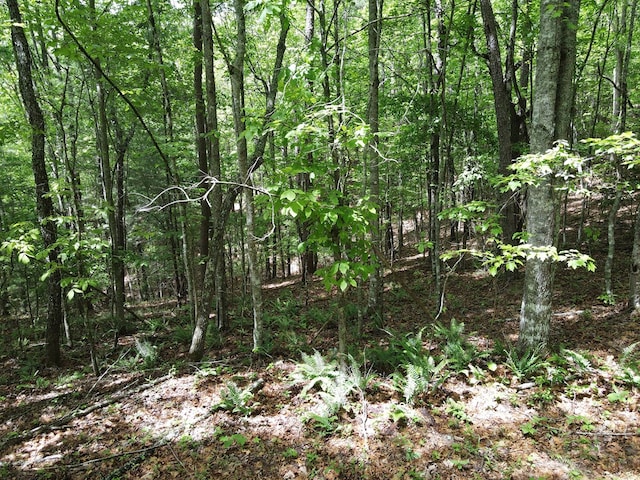 LOTF-1 Bruce Mountain Rd, Morganton, GA 30560