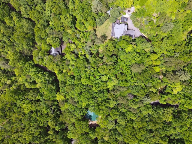 LOTF-1 Bruce Mountain Rd, Morganton, GA 30560