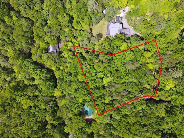 LOTF-1 Bruce Mountain Rd, Morganton, GA 30560