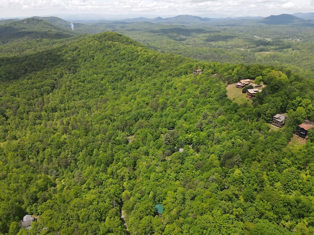 LOTF-1 Bruce Mountain Rd, Morganton, GA 30560
