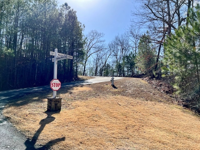 Listing photo 3 for LT105 Tumbling Waters Ln, Ellijay GA 30540