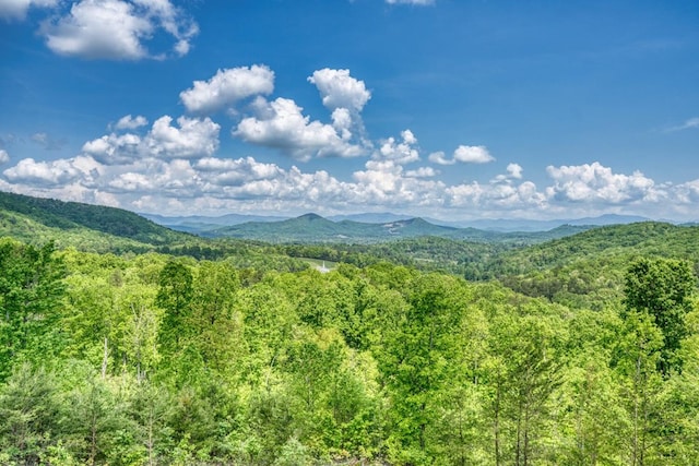 view of mountain feature featuring a forest view