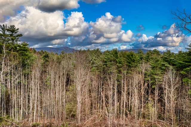 view of landscape featuring a mountain view