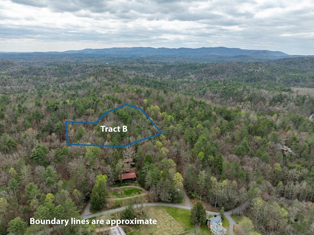 TRACTB Harpers Creek Rd, Ellijay, GA 30540