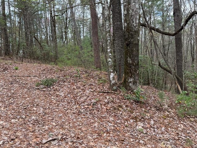 TRACTB Harpers Creek Rd, Ellijay, GA 30540