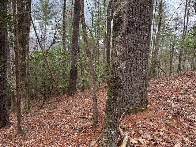 TRACTB Harpers Creek Rd, Ellijay, GA 30540