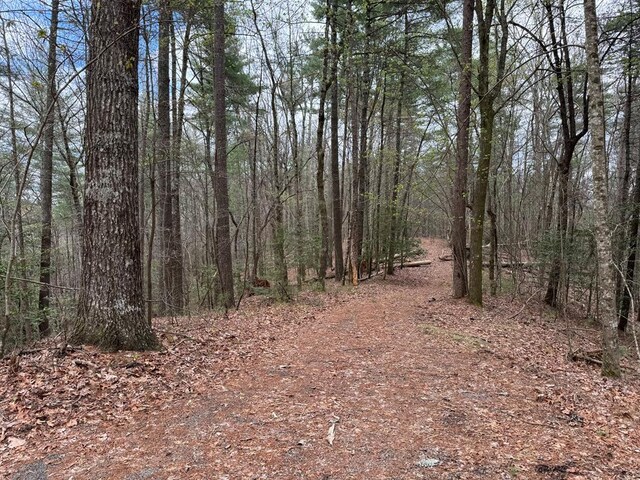 TRACTB Harpers Creek Rd, Ellijay, GA 30540