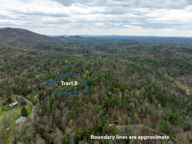 TRACTB Harpers Creek Rd, Ellijay, GA 30540