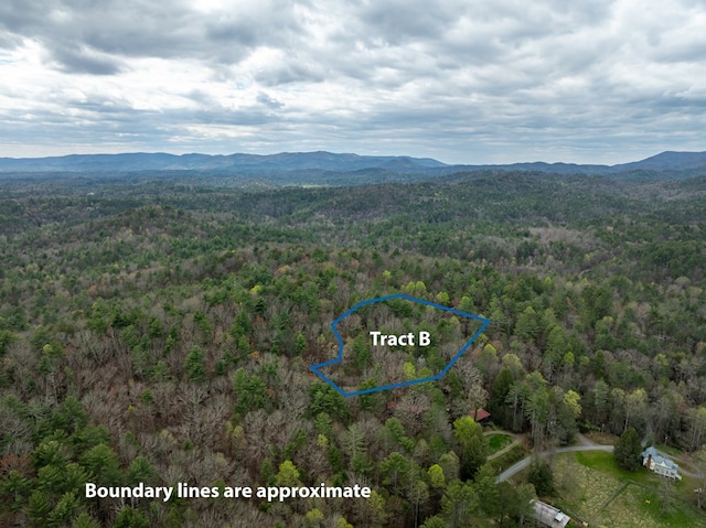TRACTB Harpers Creek Rd, Ellijay, GA 30540