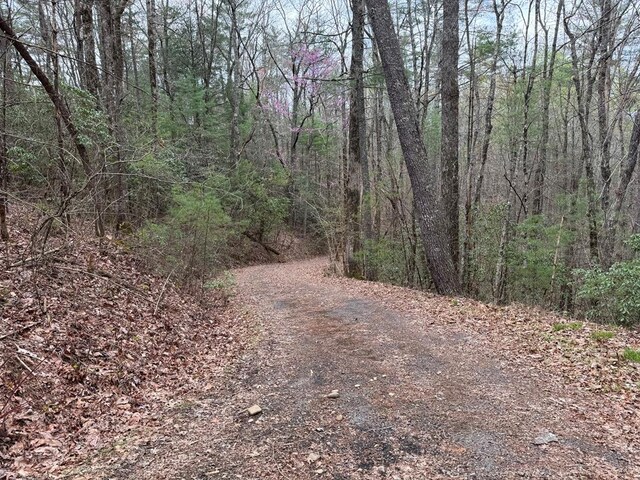 TRACTB Harpers Creek Rd, Ellijay, GA 30540