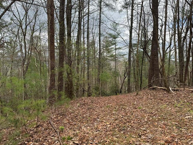 TRACTB Harpers Creek Rd, Ellijay, GA 30540