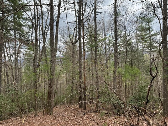 TRACTB Harpers Creek Rd, Ellijay, GA 30540