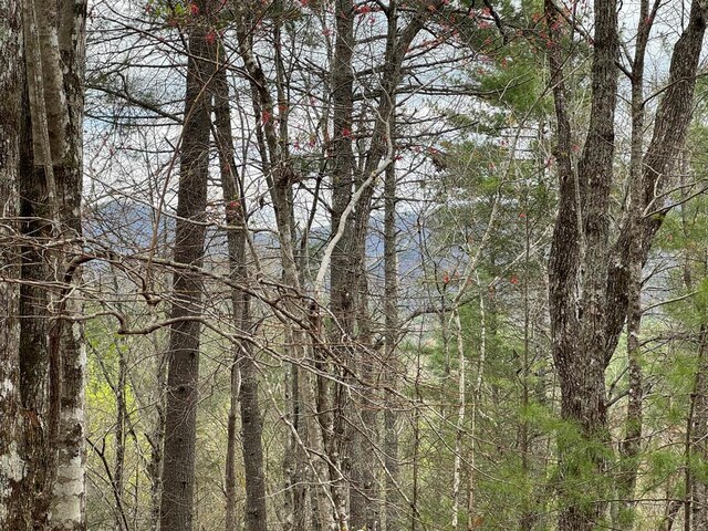 TRACTB Harpers Creek Rd, Ellijay, GA 30540