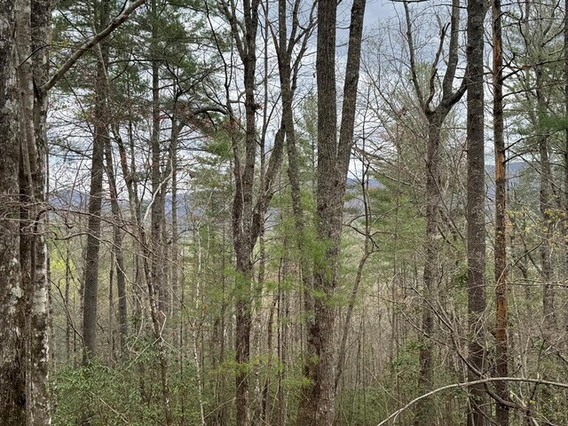 TRACTB Harpers Creek Rd, Ellijay, GA 30540