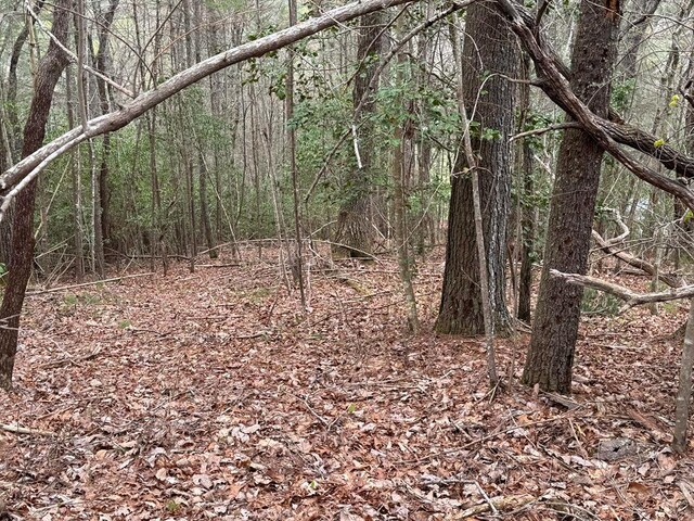 TRACTB Harpers Creek Rd, Ellijay, GA 30540