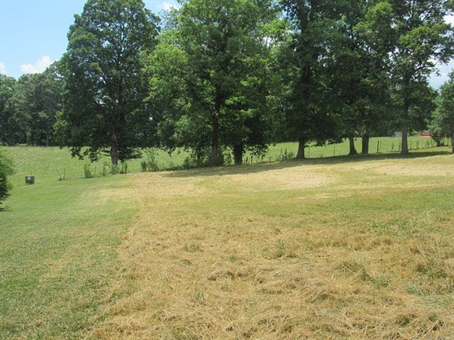 view of yard featuring a rural view