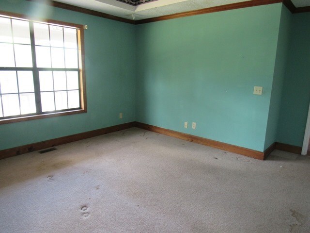 carpeted spare room with crown molding