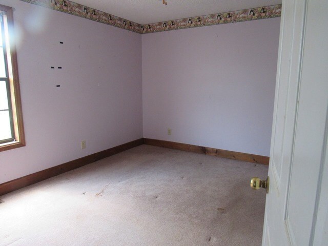 unfurnished room with carpet