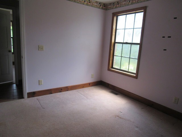 carpeted empty room featuring a wealth of natural light