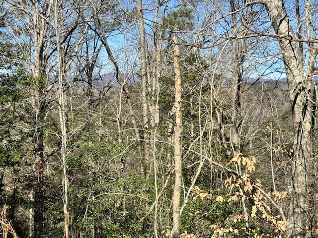 LOT1198 Lancer Ct, Ellijay GA, 30540 land for sale