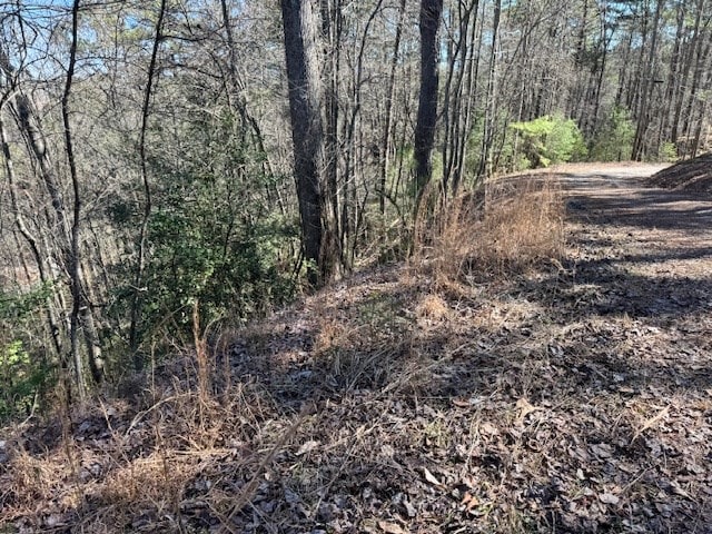 Listing photo 3 for LOT1198 Lancer Ct, Ellijay GA 30540