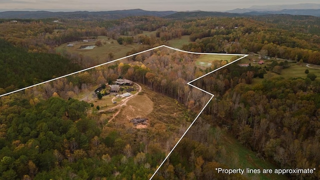 drone / aerial view featuring a mountain view