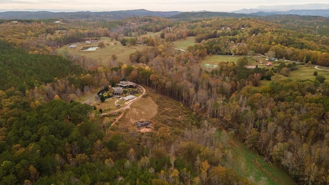 drone / aerial view featuring a mountain view