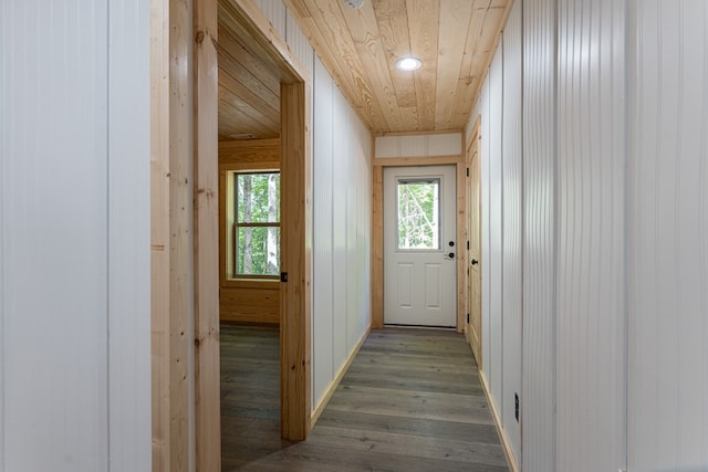 doorway featuring wood walls, wood ceiling, and hardwood / wood-style floors