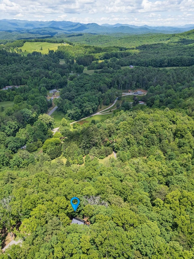 bird's eye view featuring a mountain view