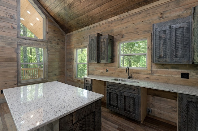 kitchen with wood walls, light stone counters, and a healthy amount of sunlight