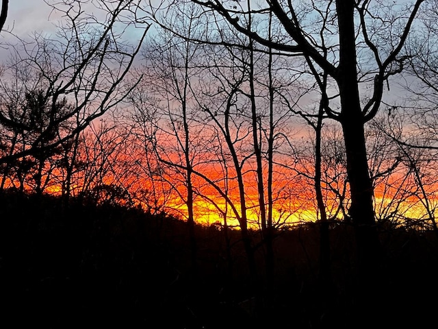 264 Summit St, Ellijay, GA 30540 - view of nature at dusk