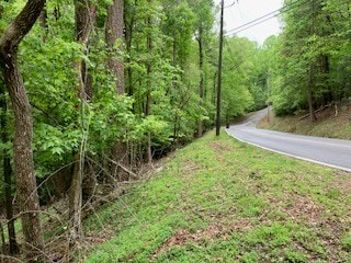 00 Lemmon Ln, Ellijay, GA 30540