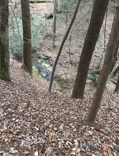 00 Lemmon Ln, Ellijay, GA 30540