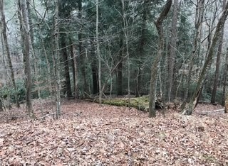 00 Lemmon Ln, Ellijay, GA 30540
