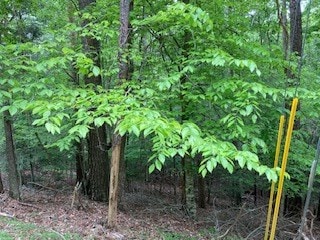 00 Lemmon Ln, Ellijay, GA 30540