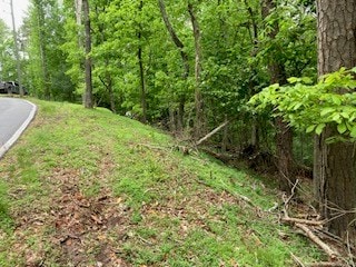 00 Lemmon Ln, Ellijay, GA 30540