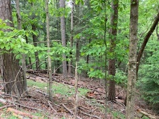 00 Lemmon Ln, Ellijay, GA 30540