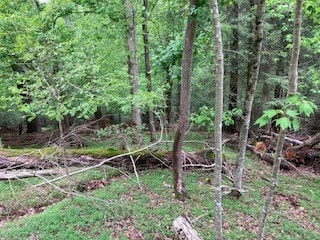 00 Lemmon Ln, Ellijay, GA 30540