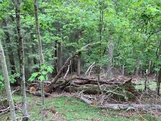 00 Lemmon Ln, Ellijay, GA 30540