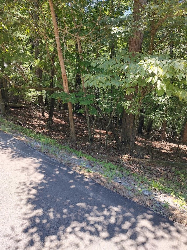 LOT853 Matrix Ln, Ellijay GA, 30540 land for sale