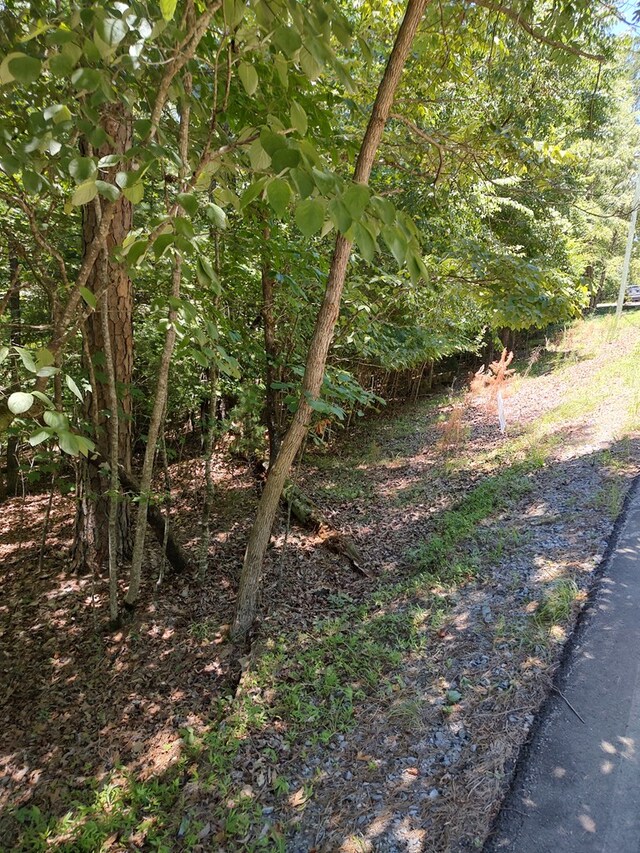 Listing photo 2 for LOT853 Matrix Ln, Ellijay GA 30540