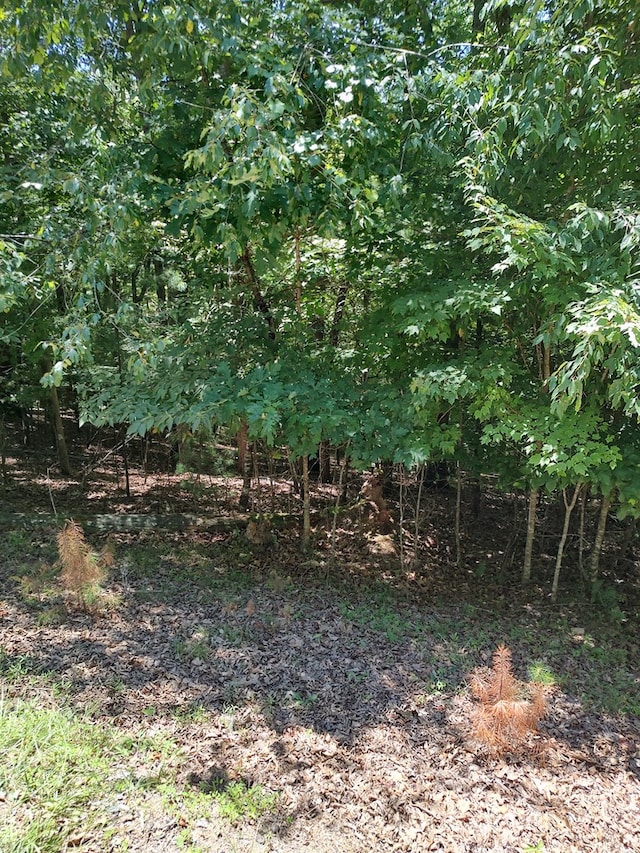 Listing photo 3 for LOT853 Matrix Ln, Ellijay GA 30540