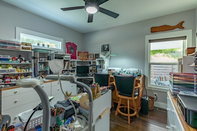 21 Hogue Way, Blairsville, GA 30512 - home office with a healthy amount of sunlight, baseboards, wood-type flooring, and a ceiling fan