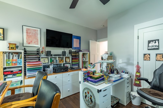 21 Hogue Way, Blairsville, GA 30512 - office space featuring a ceiling fan and dark wood-style floors