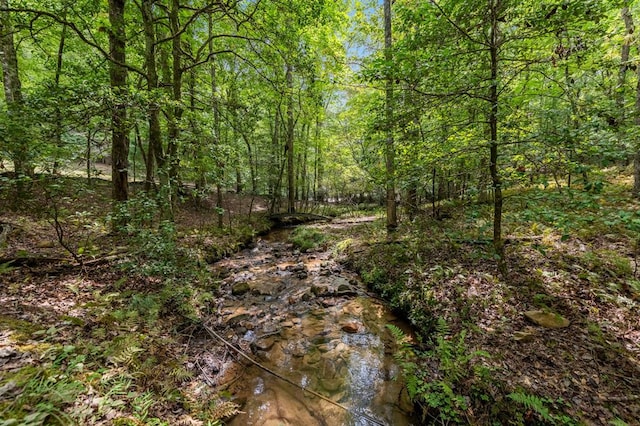 421 Weeks Creek Rd, Blue Ridge, GA 30513 - view of tree filled area