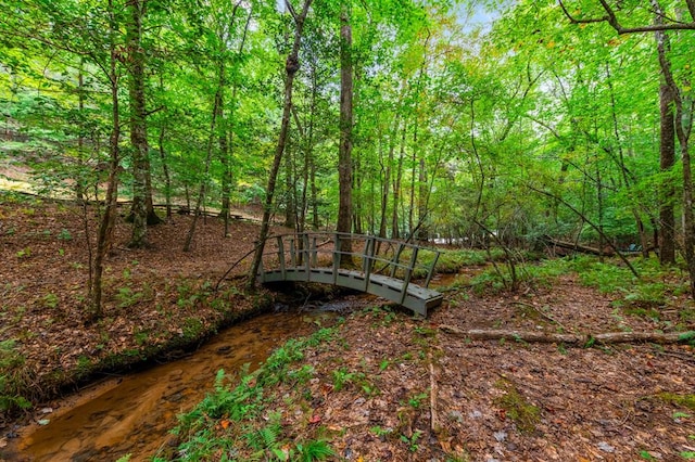 421 Weeks Creek Rd, Blue Ridge, GA 30513 - view of yard